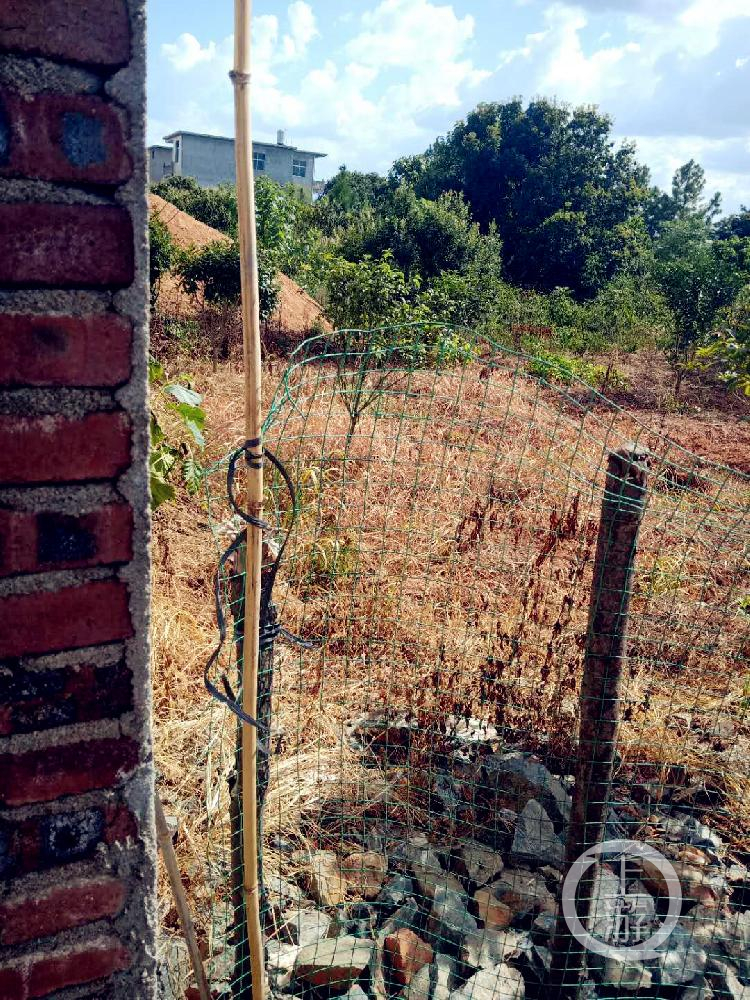 ������¶!ɱ3���ӷ�����������������ɱ����������